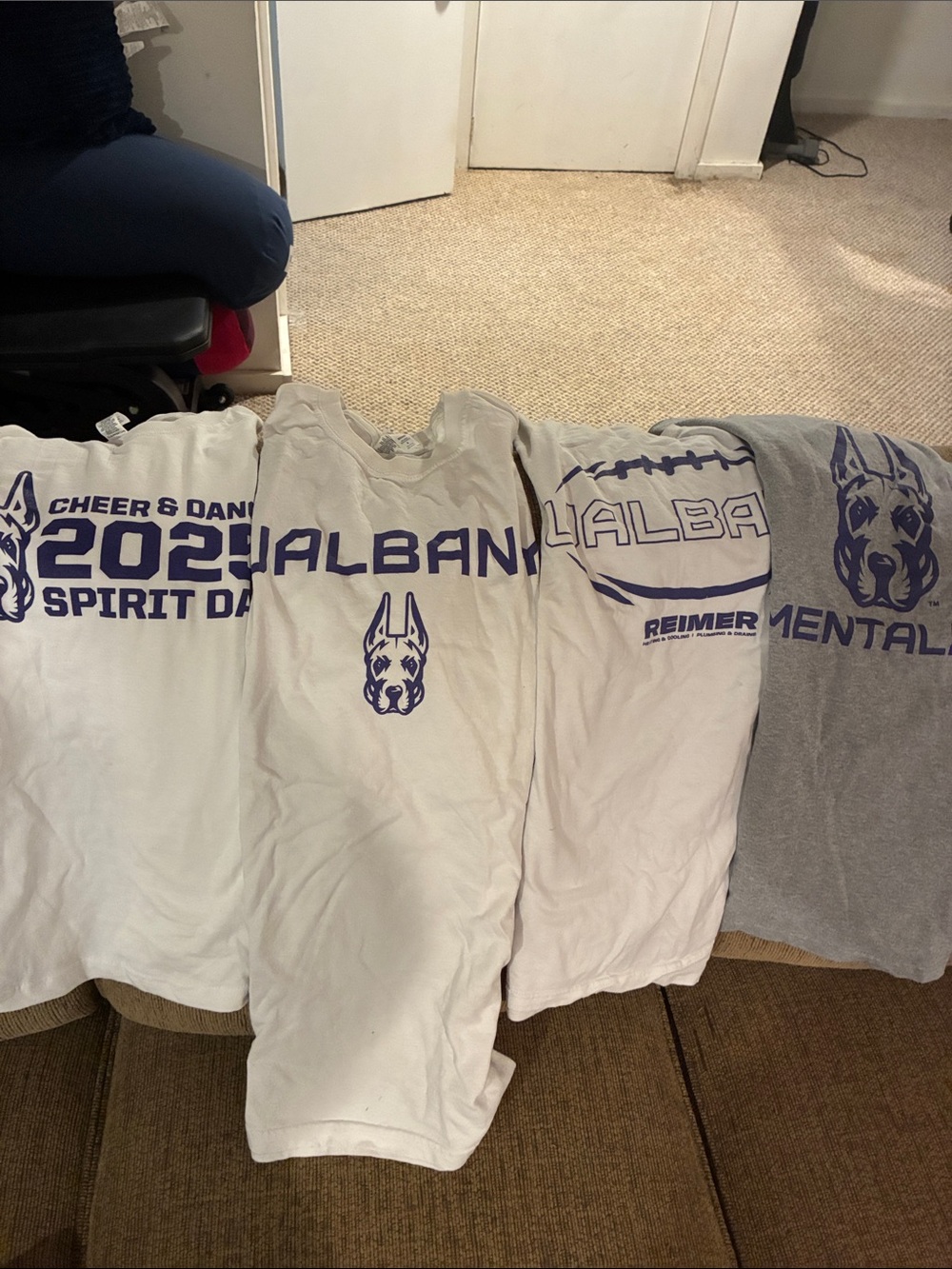 Lot of 4 University at Albany Tshirts. Small